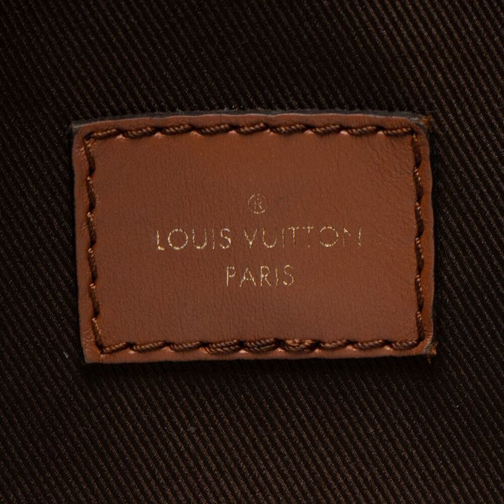 Louis Vuitton Monogram Canvas Loop Hobo - Picture 7 of 13